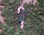 Picture of S-0638B