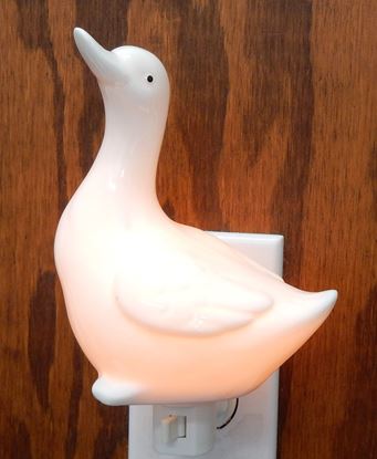 Picture of 93M-DUCK